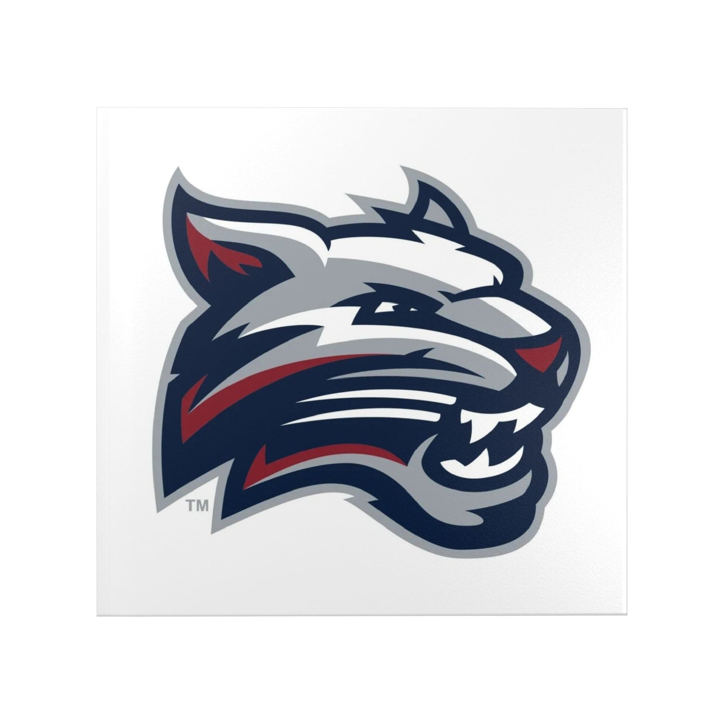 Wildcat Logo Hardcover Photo Book — Custom Sports Team Memory Album