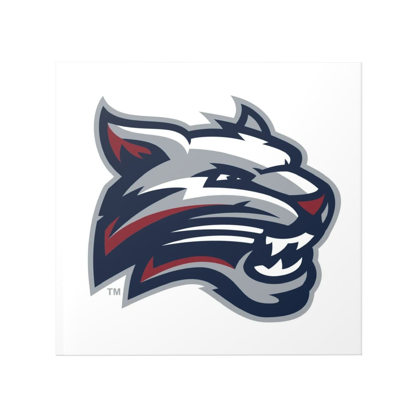 Wildcat Logo Hardcover Photo Book — Custom Sports Team Memory Album